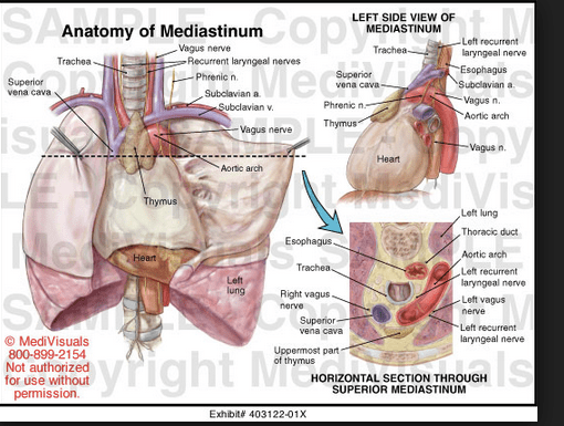 Screen Shot 2015-05-31 at 3.31.28 PM