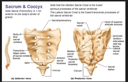 Screen Shot 2015-06-11 at 11.00.36 AM