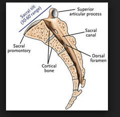 Screen Shot 2015-06-11 at 11.00.46 AM